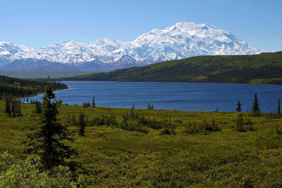 Activate Photo Gallery