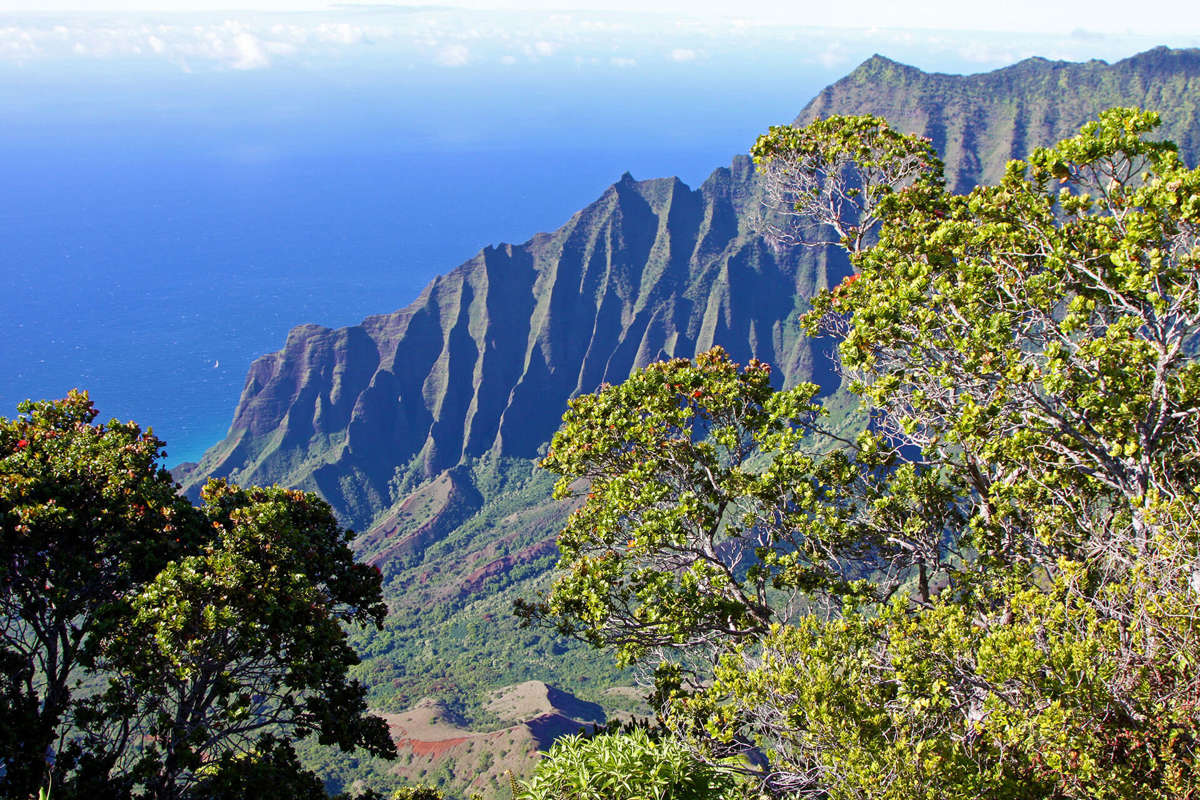 Activate Photo Gallery