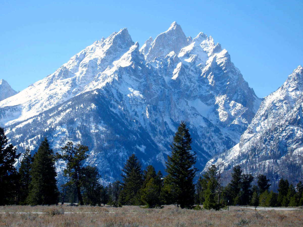 Activate Photo Gallery