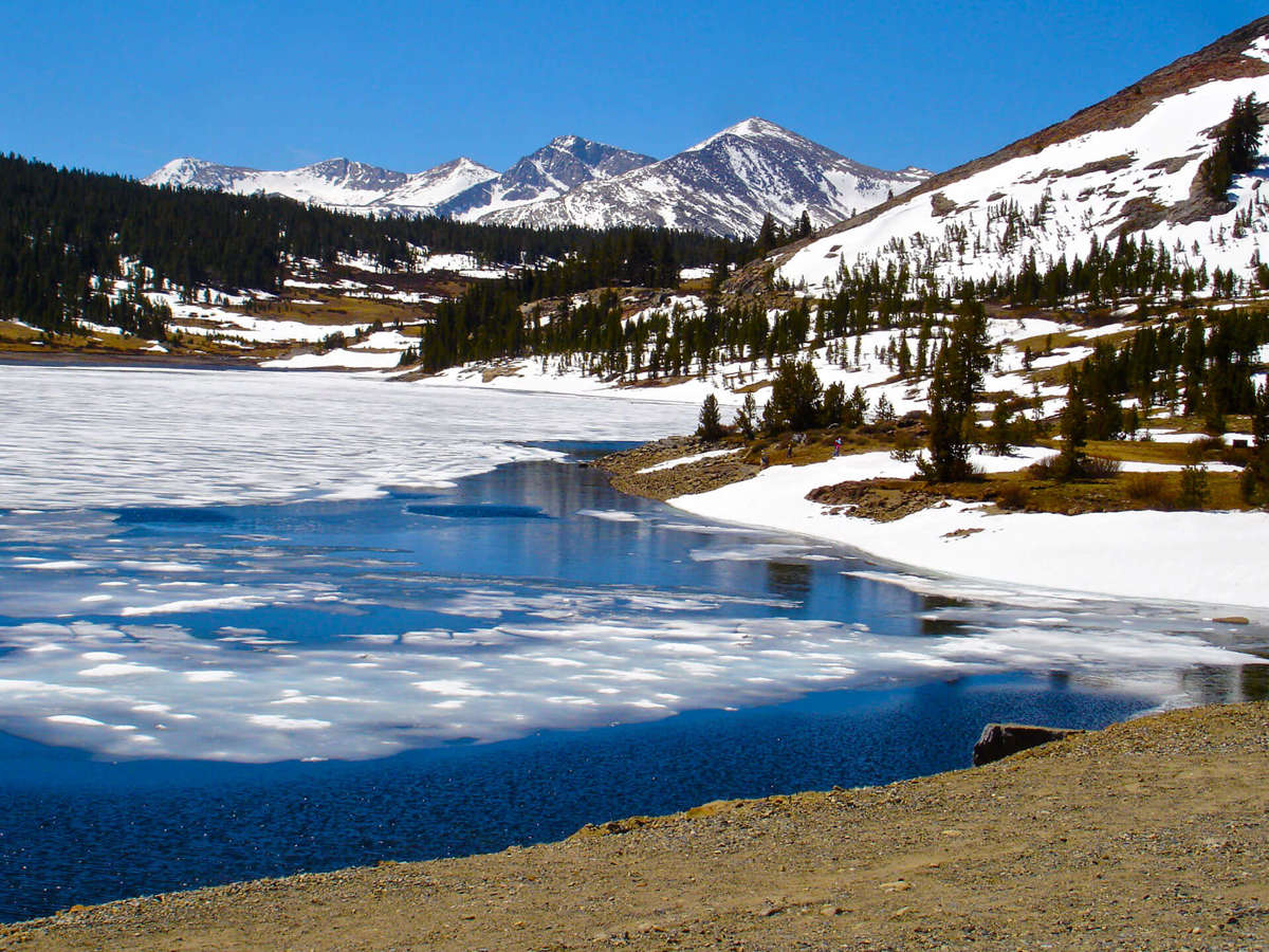 Activate Photo Gallery