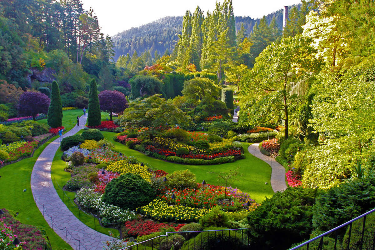 Activate Photo Gallery