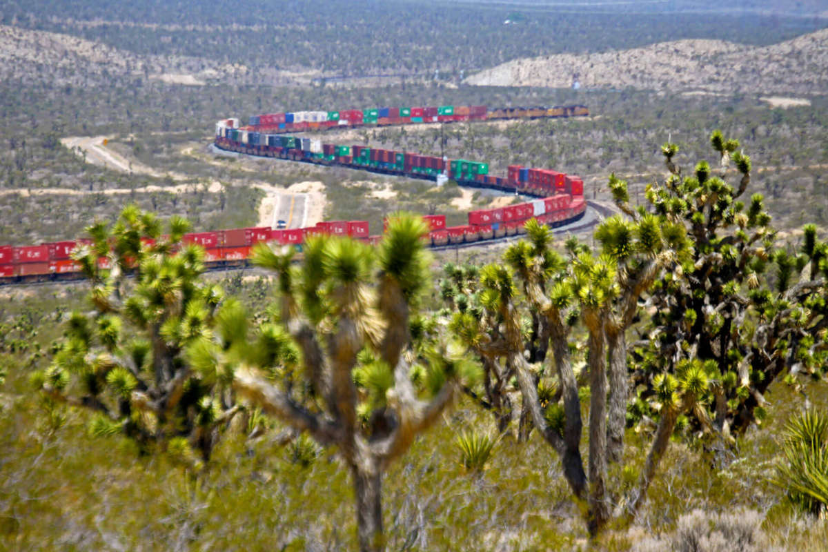 Activate Photo Gallery